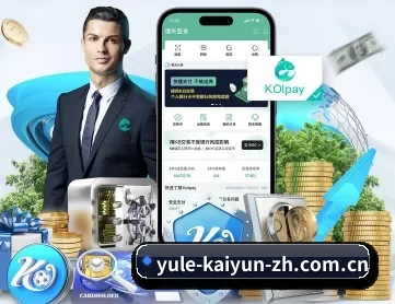 开云官网 APP 深度功能